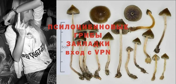 Альфа ПВП Армянск